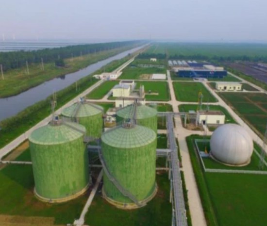 Chicken manure biogas plant in Dafeng City, Jiangsu Province