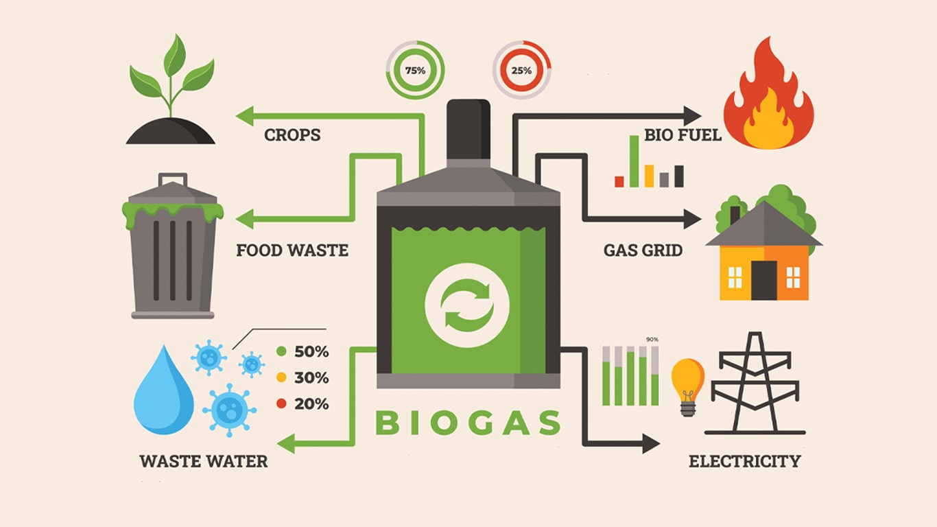 biogas plant
