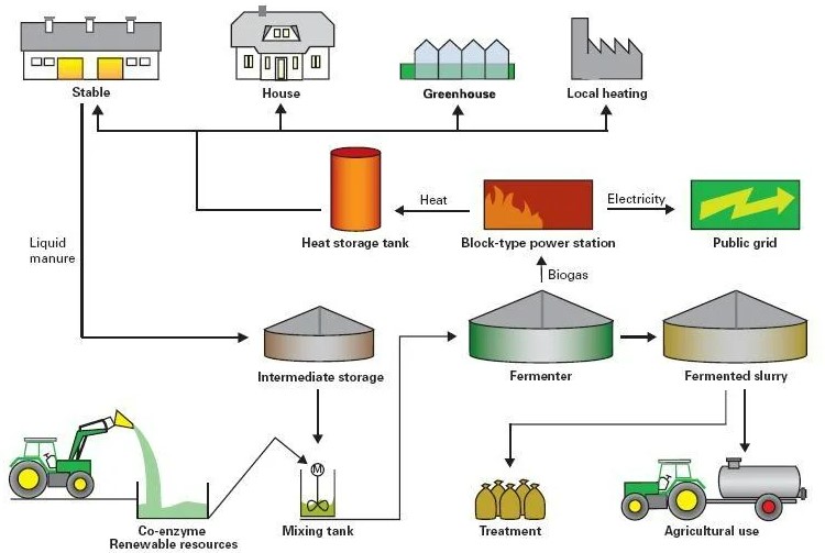 biogas plant