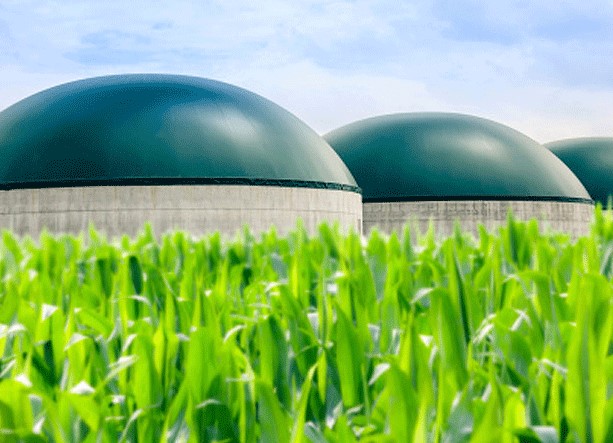 biogas plant