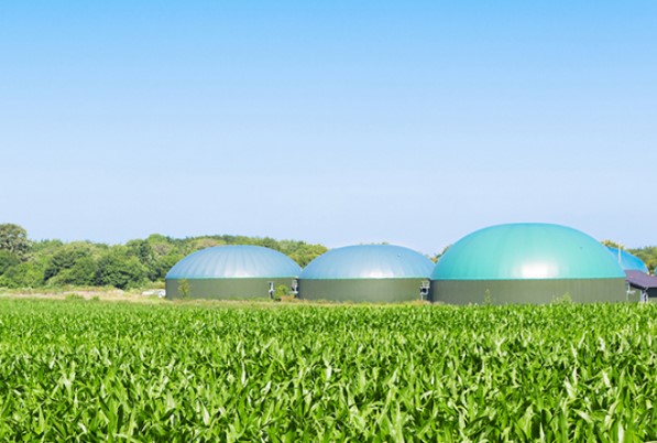biogas plant