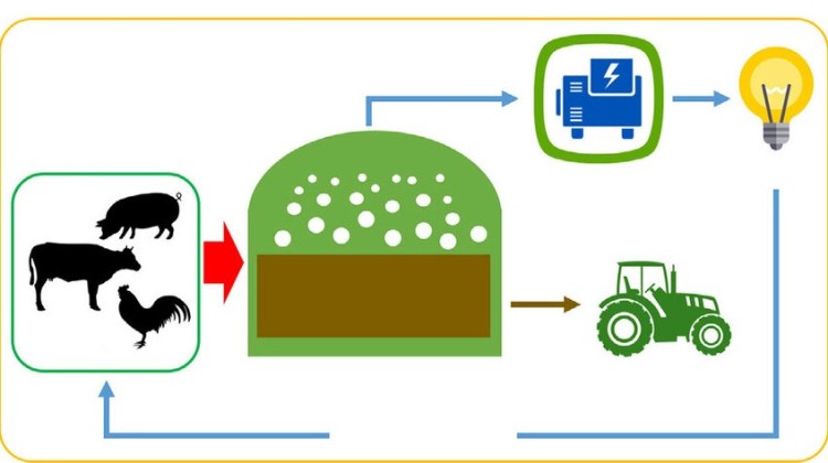biogas from manure