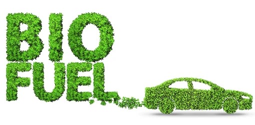 Bio fuel
