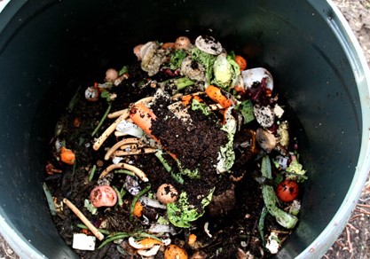 organic waste