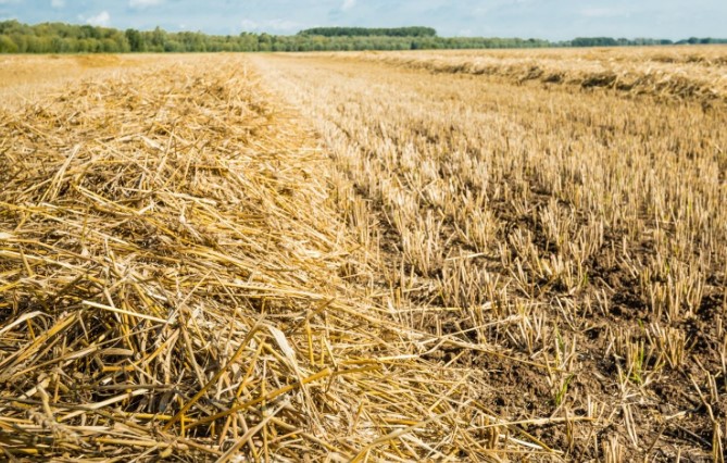 agricultural residues