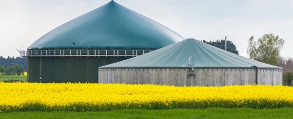 biogas plant