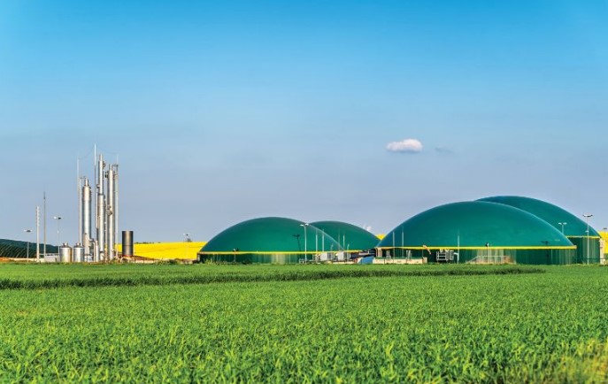 biogas plant