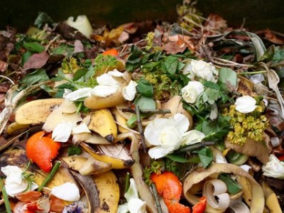 How EU Biogas Projects Are Transforming Waste into Green&nbsp;Power