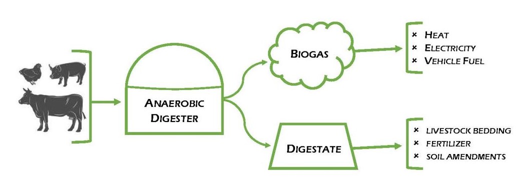 Anaerobic Biogas Digesters