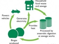 The Environmental and Economic Benefits of Biogas Clean&nbsp;Energy