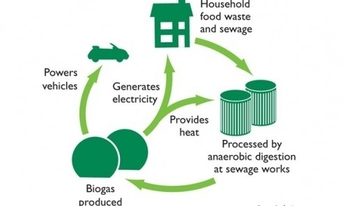 Biogas to Electricity