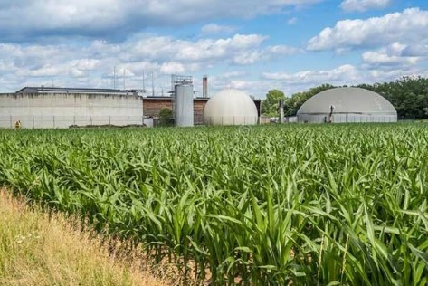 biogas plant