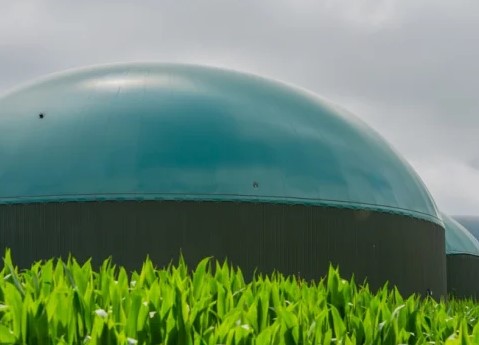 biogas plant