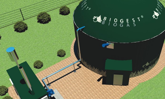 Biogas Digester