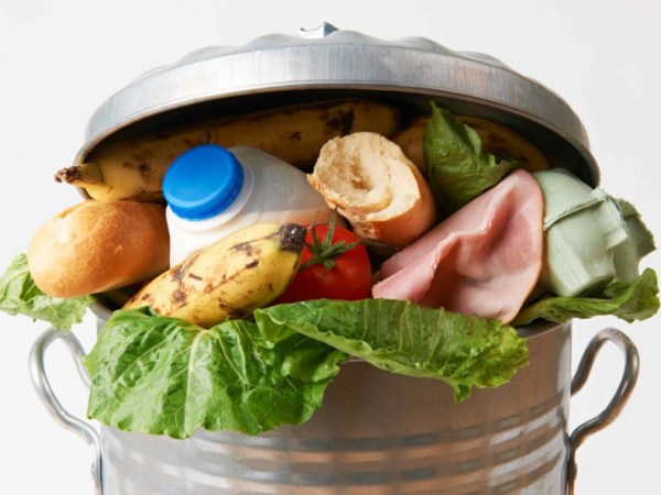 Key Considerations When Designing Homemade Biogas Digester&nbsp;Plans