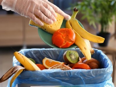 Innovative Methods for Food Waste to Biogas Conversion in Urban&nbsp;Areas