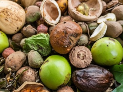 Essential Homemade Biogas Digester Materials for Safe and Reliable&nbsp;Operation