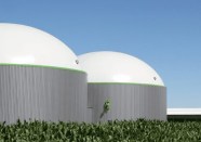 Understanding Biogas Analyzer Prices Factors And Trends Manufacturer 