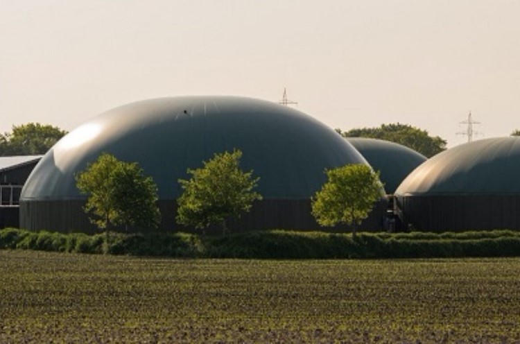 biogas plant