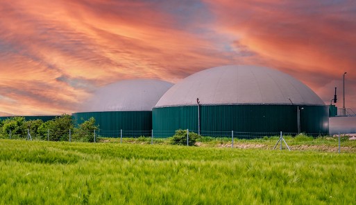 biogas plant