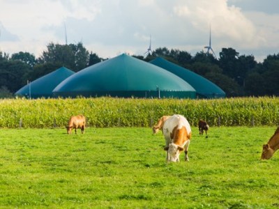 A Complete Guide to the Biogas to Biomethane Upgrading&nbsp;Process
