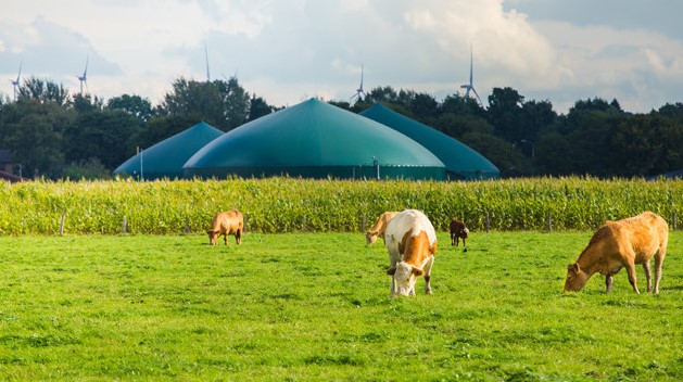 Biogas Energy Production in Agriculture