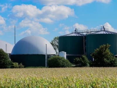 Opportunities and Challenges in Supplying Biogas for Sale to Local&nbsp;Industries