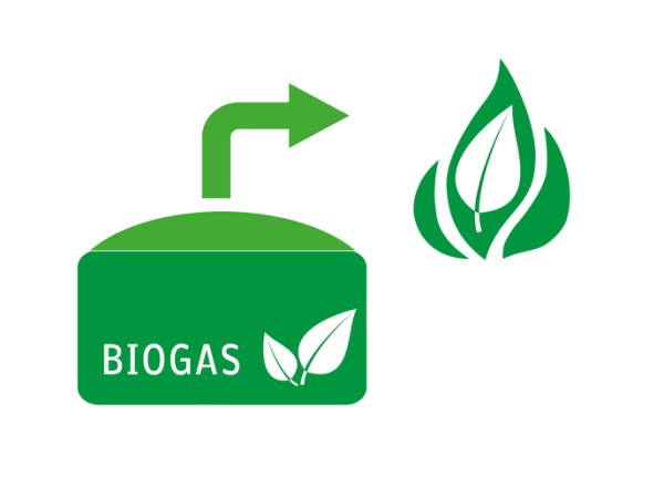 Exploring What Biogas Is Made Of and How It Powers Renewable Energy&nbsp;Systems